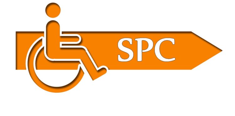 Speciálně pedagogická centra (SPC) jsou velkým pomocníkem pro rodiny s handicapovanými členy